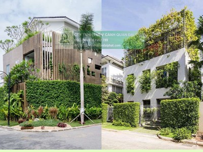 Dịch Vụ Thiết Kế   Thi Công Tường Xanh   Vườn Đứng Chuyên Nghiệp 1