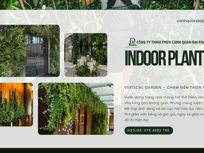 Dịch Vụ Thiết Kế   Thi Công Tường Xanh   Vườn Đứng Chuyên Nghiệp 7