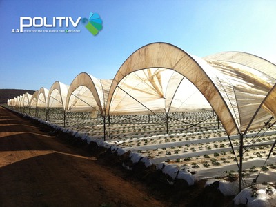 Nhà lưới trồng rau sạch Politiv Israel- chuẩn khí hậu Việt Nam 1