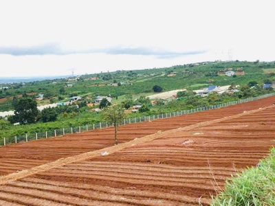 Hot sở hữu ngay lô đất đẹp - giá tốt - vị trí đắc địa tại lâm hà, lâm đồng 0