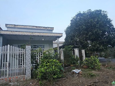 Nhà mặt phố 219m2 sổ hồng, hướng nam kdc xẻo vạt, tân phú trung, đồng tháp. giá 1.95 tỷ. 3