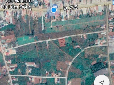 Hot sở hữu ngay lô đất đẹp - giá tốt - vị trí đắc địa tại lâm hà, lâm đồng 3