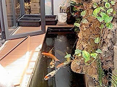 Hiếm bán biệt thự đẳng cấp đ. tú xương, quận 3 - hàng xóm đều là quan chức, lãnh đạo cấp cao lh 3