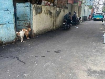 Bán nhà c4, hxh lê quang định - gần phạm văn đồng, 8x25m, 1 đời chủ, tiện xây, 17,5 tỷ 2