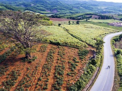 Đất đẹp   giá đầu tư  - cần bán 2 lô đất tại sơn định,  sơn hòa , phú yên  cũ   xã vân hòa, daklak 4