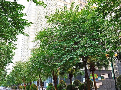 Chính chủ bán căn hộ ct7e - kđt the sparks dương nội, đối diện đại học phenikaa. 0