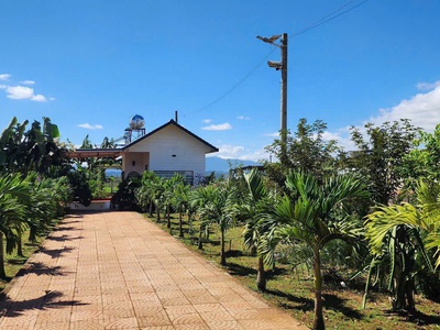 Nhà vườn nghỉ dưỡng mặt tiền chính tỉnh lộ 724, tân hội, lâm đồng 4