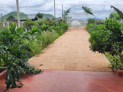 Nhà vườn nghỉ dưỡng mặt tiền chính tỉnh lộ 724, tân hội, lâm đồng 7