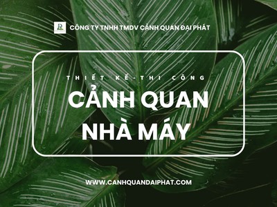 Thi công cảnh quan nhà máy Đồng Nai, TPHCM 0