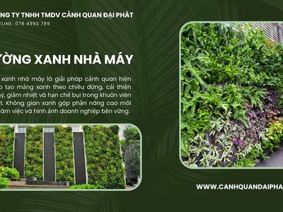 Thi công cảnh quan nhà máy Đồng Nai, TPHCM 1