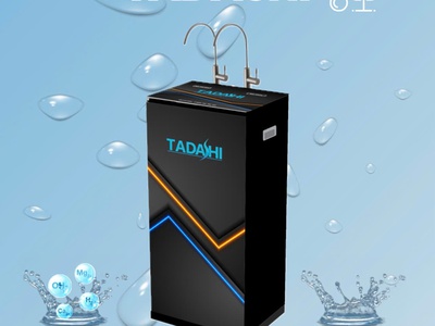 Máy lọc nước RO cao cấp Tadashi TAD-10D2A 0