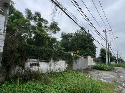 Bán Gấp Khu Đất Mặt Tiền Đẹp Nguyễn Đình Kiên P.Tân Tạo Quận Bình Tân 3