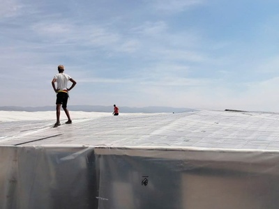 Màng Politiv Israel 200 đen - trắng 1