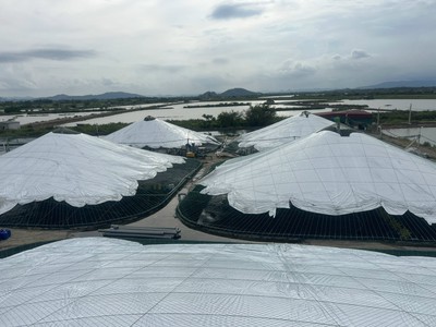 Màng Politiv Israel 200 đen - trắng 2