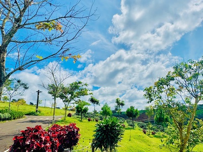 Làng Omm nơi bình yên lãng mạn. 4