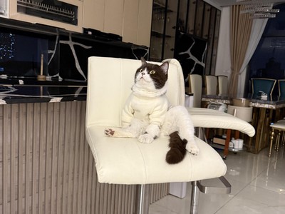 Bán nhà riêng 165m2x6 tầng thang máy tại phố Đại Đồng, Thanh Trì, Hoàng Mai - Đang cho thuê CCMN 2