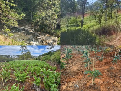 Bán 8ha đất bãi ruộng 2    xã đạ sar , huyện lạc dương, tỉnh lâm đồng 3