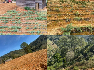 Bán 8ha đất bãi ruộng 2    xã đạ sar , huyện lạc dương, tỉnh lâm đồng 1