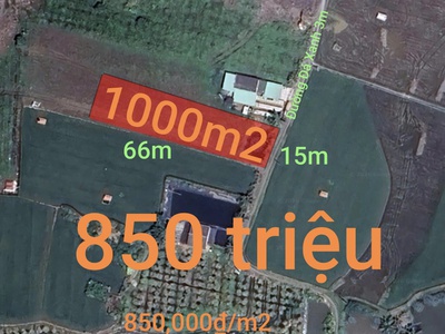 Bán lô đất lúa gần quốc lộ 50 b giá 850 triệu 0