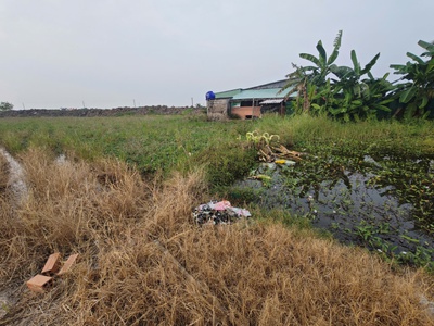 Bán lô đất lúa gần quốc lộ 50 b giá 850 triệu 3