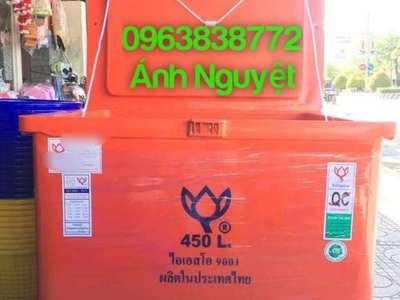 Thùng đá giữ lạnh 450lit nhập khẩu trực tiếp Thái Lan với giá rẻ 0