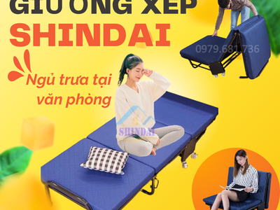 Giường xếp   đầu tư nhỏ, lợi ích dài lâu. 0