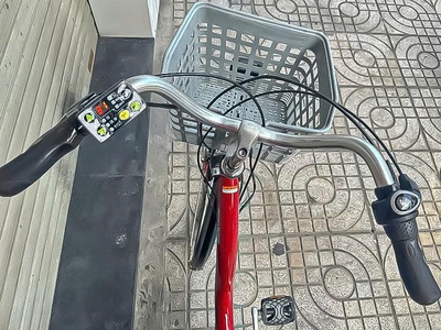 Xe đạp điện trợ lực: Pas Natura 2