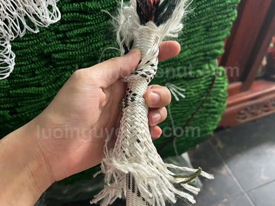 Dây đu vách nhà sơn nước nguyễn út 5