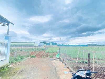 Bán đất sẵn nhà tiền chế hẻm tổ 32, liên nghĩa, đức trọng 0