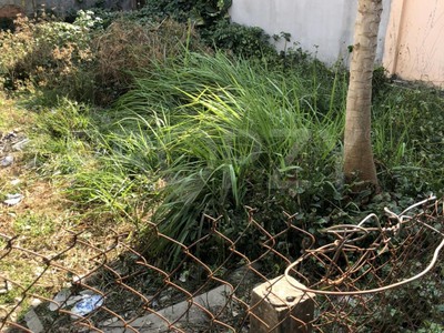 Bán đất chợ Quy Đức, QL 50, Bình Chánh 0