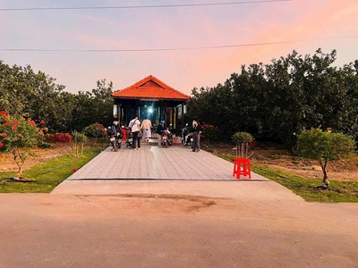 Đất vườn bưởi Trừ Văn Thố   Bàu Bàng, diện tích 250m , sổ riêng, giá tốt đầu tư 1