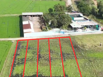 Siêu Phẩm 3 Lô Shr Full Thổ Cư Đức Hòa Long An Tiềm Năng Tăng Giá Cực Khủng 3