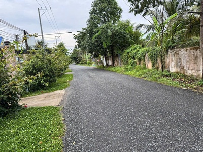 Đường Huyện 87-Làng Bún Mỹ Tho. Nền Đất Góc 2 MẶT TIỀN tuyệt đẹp. 3