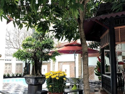Bán biệt thự dương đình nghệ gần biển, 648m2, mặt tiền 24m, giá 167 tỷ 0