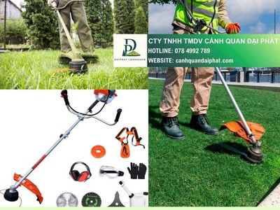 Cắt Tỉa Tạo Hình Cây Xanh Đồng Nai 0