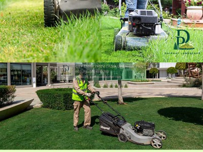 Cắt Tỉa Tạo Hình Cây Xanh Đồng Nai 1