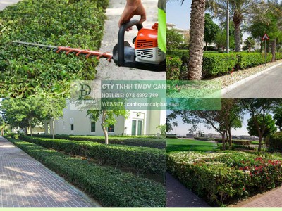 Cắt Tỉa Tạo Hình Cây Xanh Đồng Nai 8