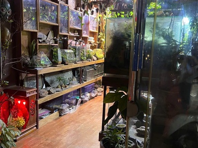 Cho thuê cửa hàng   phố hoàng hoa thám, ba đình 2