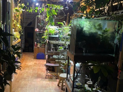 Cho thuê cửa hàng   phố hoàng hoa thám, ba đình 1