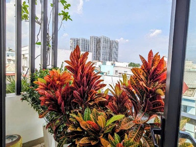 Nhà 2 lầu huỳnh tấn phát quận 7 - 5 m 9m - 6.2 ty-tl 1