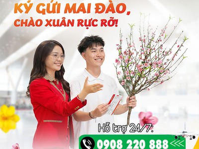 Vietjet triển khai ký gửi mai đào dịp Tết Nguyên đán 2026 0