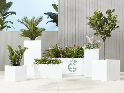 Chậu Composite Trơn Màu Trắng Trồng Hoa, Cây Cảnh 2