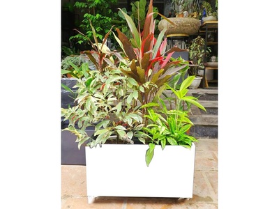 Chậu Composite Trơn Màu Trắng Trồng Hoa, Cây Cảnh 1