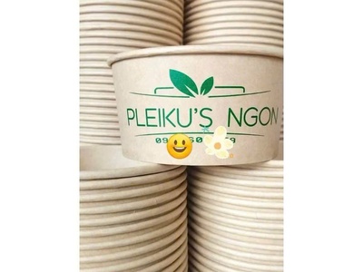 Nhận in theo yêu cầu các loại túi khăn lạnh ly giấy VĨNH LONG 6