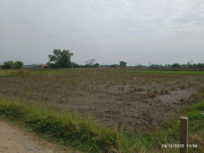  Vì Sao Nên Sở Hữu Ngay Đất Ở Khu Đt.823D   Đức Hòa, Long An     2