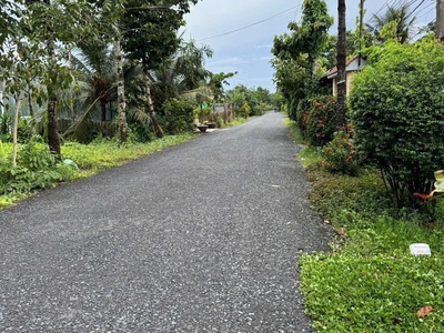   Nền đất ĐẸP, MẶT TIỀN Huyện 91. Gần Cầu Lộ Đình. Kp Mỹ Hòa - Mỹ Phong. 0