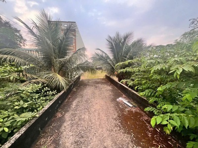   Nền đất ĐẸP, MẶT TIỀN Huyện 91. Gần Cầu Lộ Đình. Kp Mỹ Hòa - Mỹ Phong. 3