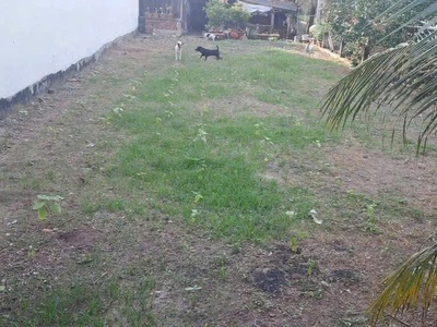   Nền đất ĐẸP, MẶT TIỀN Huyện 91. Gần Cầu Lộ Đình. Kp Mỹ Hòa - Mỹ Phong. 4