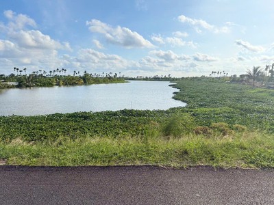 Nhà vườn view sông đa độ   quỹ đất rộng hiếm   giá 2,x tỷ  zalo 0567 222 555 1