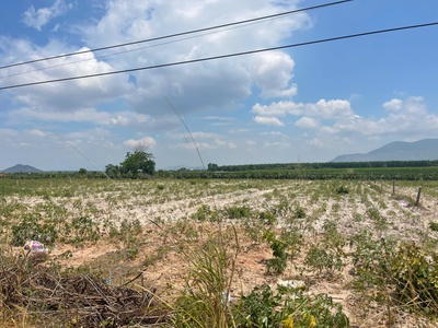 Bán 50m đất mặt tiền mai thúc loan, tân hải, lagi giá ngộp 160tr/m ngang 4